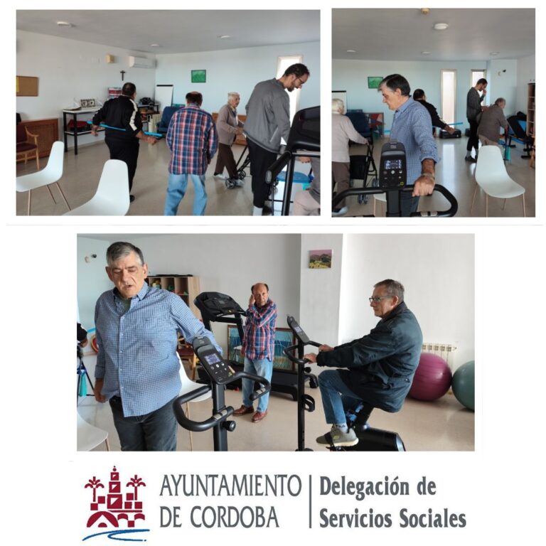 Copia de vídeos Ayto