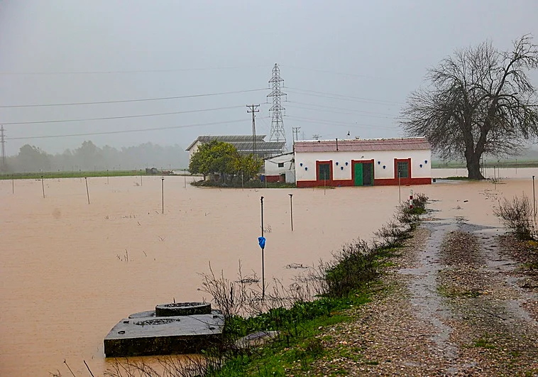 parcela-inundada-cordoba-RX03i65zMqf44ITDtoRMqlK-758x531@diario_abc